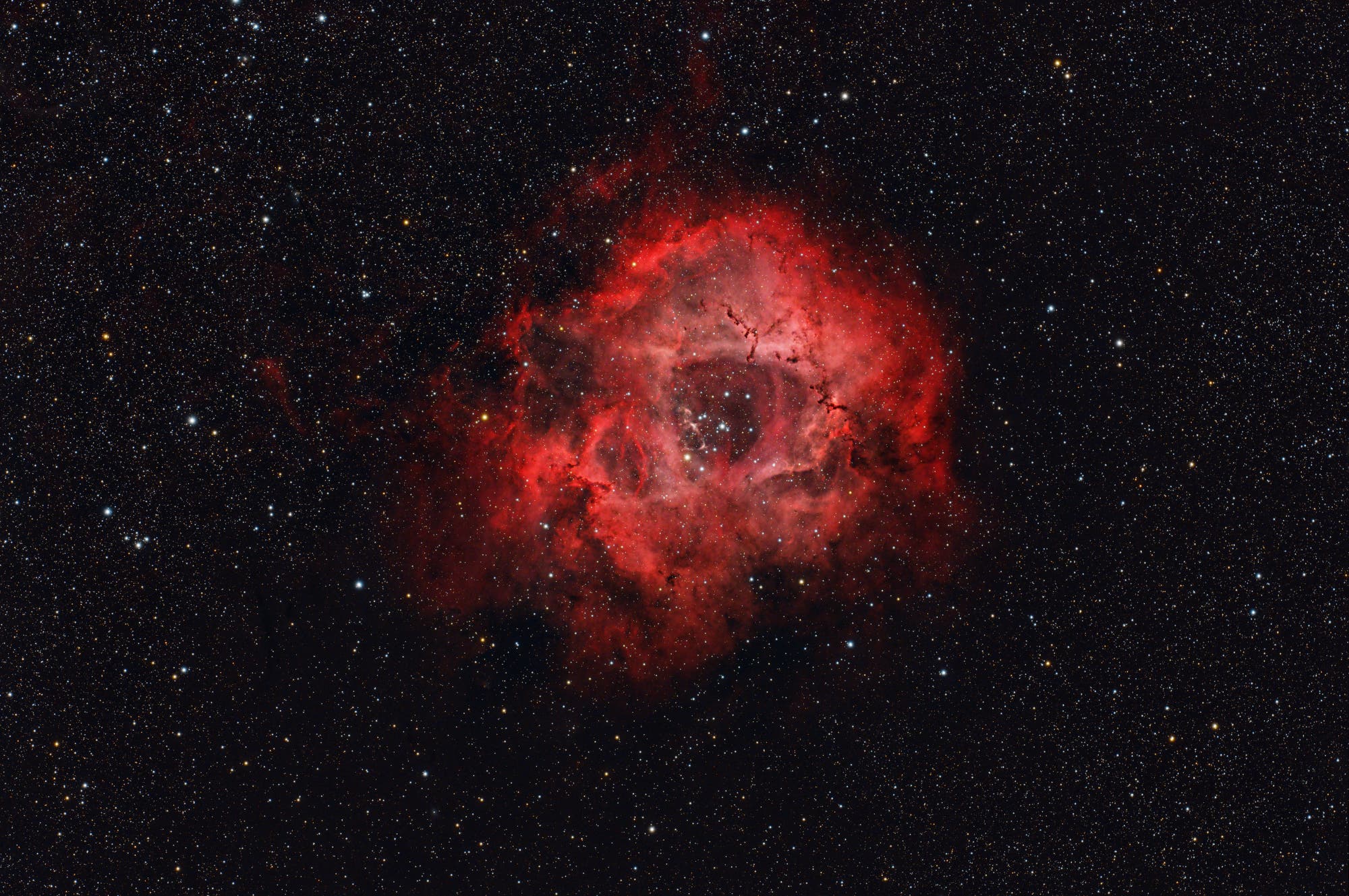 NGC 2237 mit NGC 2244 Spektrum der Wissenschaft